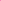 CALEXOTICS - CHEEKY PLUGS ANALES ROSA